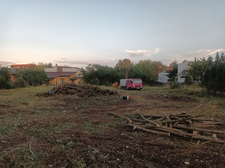 Wycinka drzew Pielęgnacja drzew i zieleni Usługi ogrodnicze
