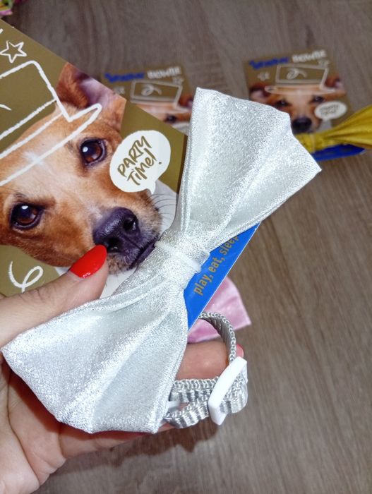 Mucha z obrożą dla psa / kokardka dla psa + obroża