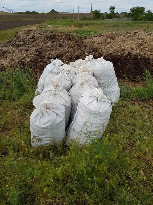 Перегной Лошадиный