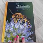 Życie pszczół historia niezwykłych owadów Nowa prezent