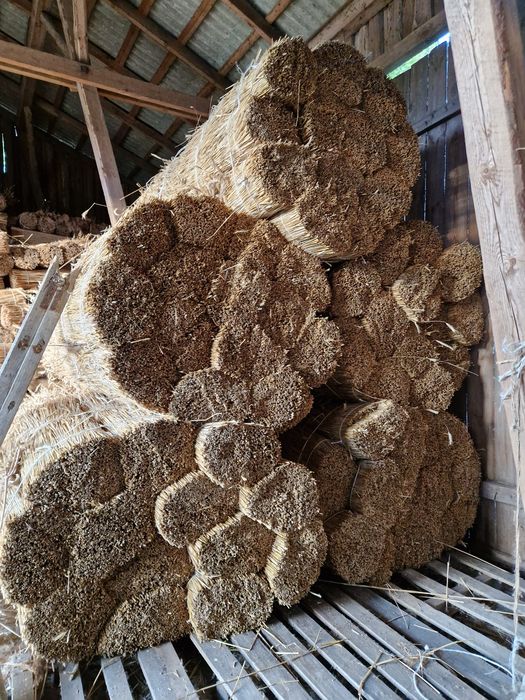 Słoma żytnia  wysyłka kurier  snopek strzecha na pokrycia dachowe strz