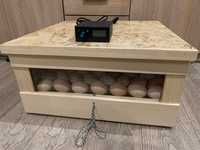 Inkubator klujnik wylegarnia 65/80 jaj