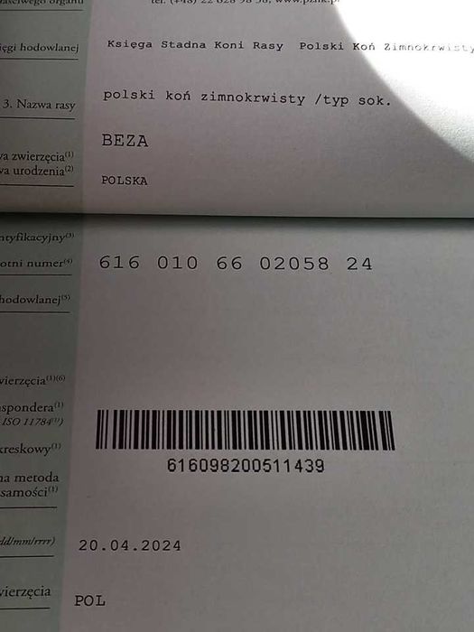 Sprzedam Zrebice typ sokólski