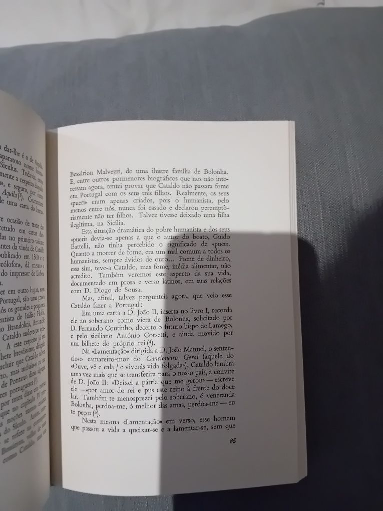 Estudos sobre a Época do Renascimento - Americo da Costa Ramalho