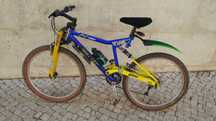 Bicicleta Pro Flex