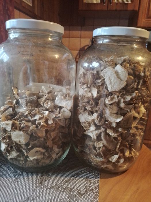 Sprzedam suszone prawdziwki, zdrowe  850 g za 238 zł