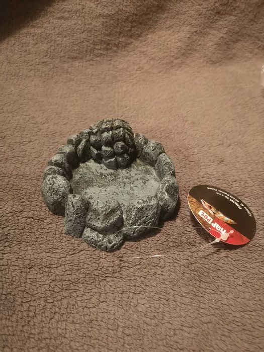 Nowe terrarium plus wyposażenie
