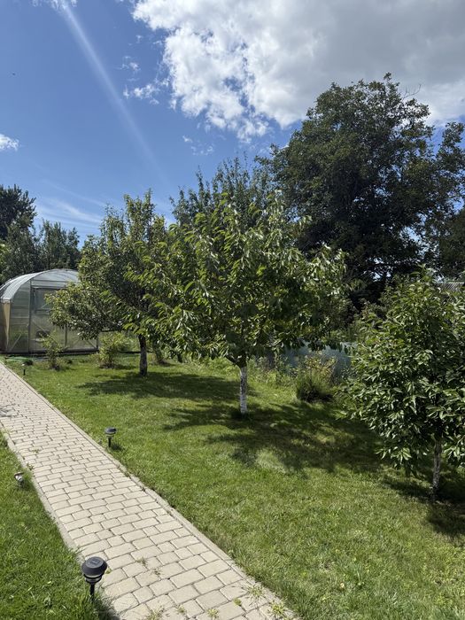 Дача Строитель. Кривуши. Собственник. Без комиссии.