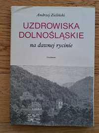 Uzdrowiska Dolnośląskie na dawnej rycinie Andrzej Zieliński