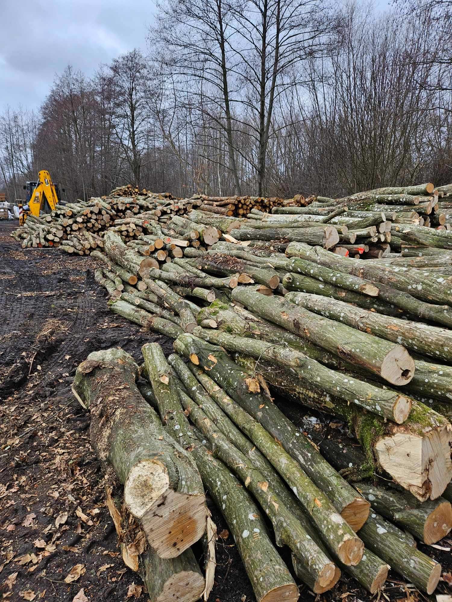 drewno opałowe grab dąb . Dostawa HDS wałki