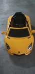 Feber lamborghini avariado