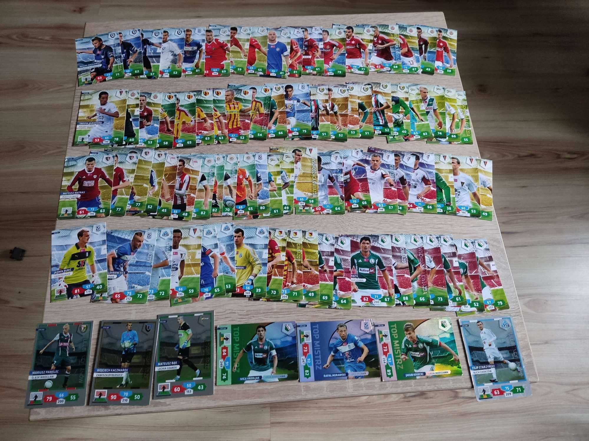 Karty Panini Ekstraklasa 2013-14