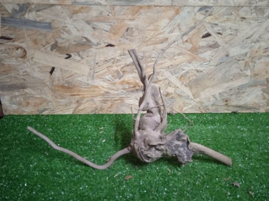 Korzeń do akwarium Red Moore Wood nr 723 o wymiarach 34/12/21