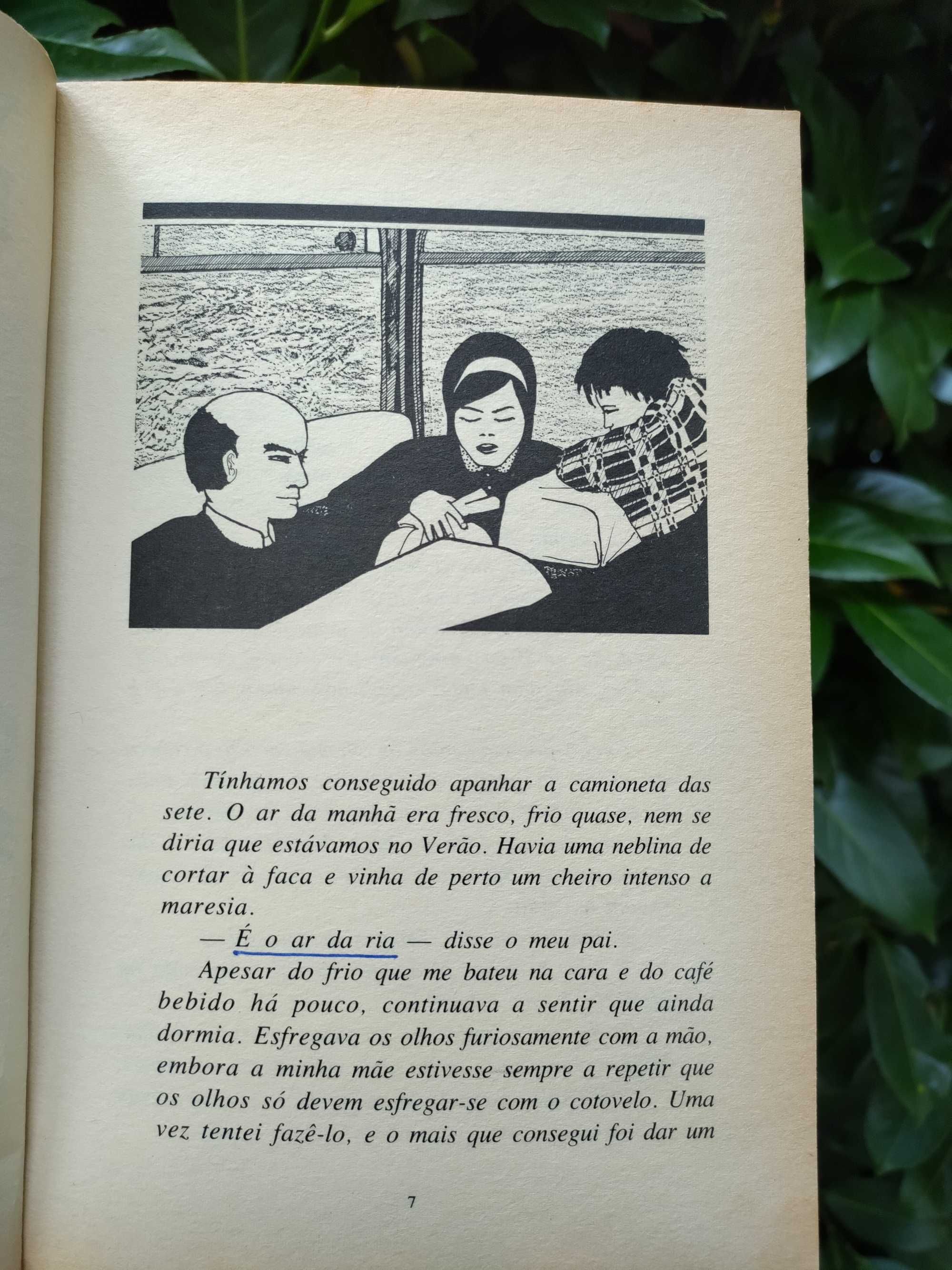 Viagem à roda do meu nome (Alice Vieira)