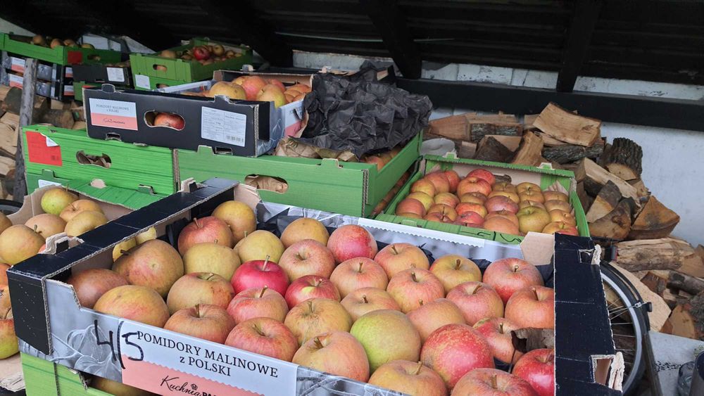 Szara Reneta, Złota Reneta, Reneta Gwiazdkowa, Koksa Pomarańczowa.