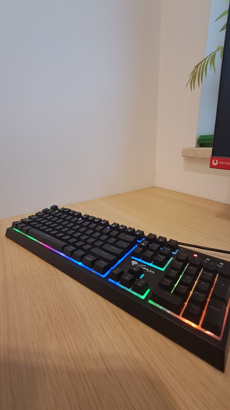 Klawiatura GENESIS THOR 210 RGB