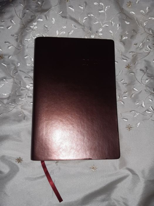 Планер "BINARIO GUSTO" Leo planner діловий блокнот із закладкою