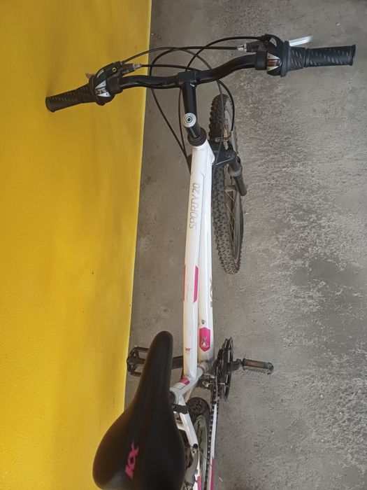 Bicicleta de montanha