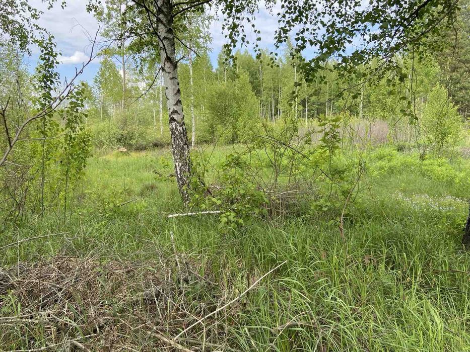 продам земельну ділянку. Березівський дачний масив