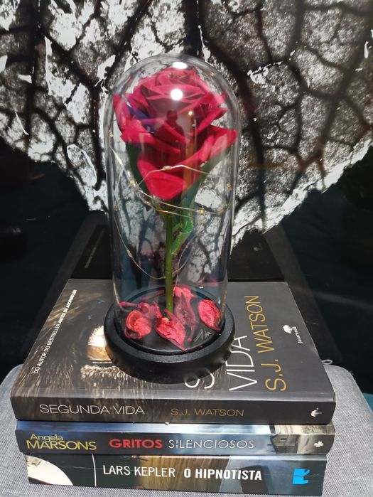 Dia dos Namorados Cúpula, redoma, rosa eterna bela e o monstro