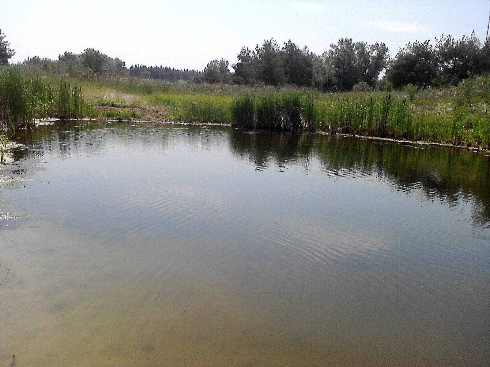 Продам земельну ділянку під забудову в центрі села Шульгівка