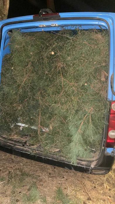 Вивіз будівельного строй сміття, мусора. Самосвал, камаз, зіл