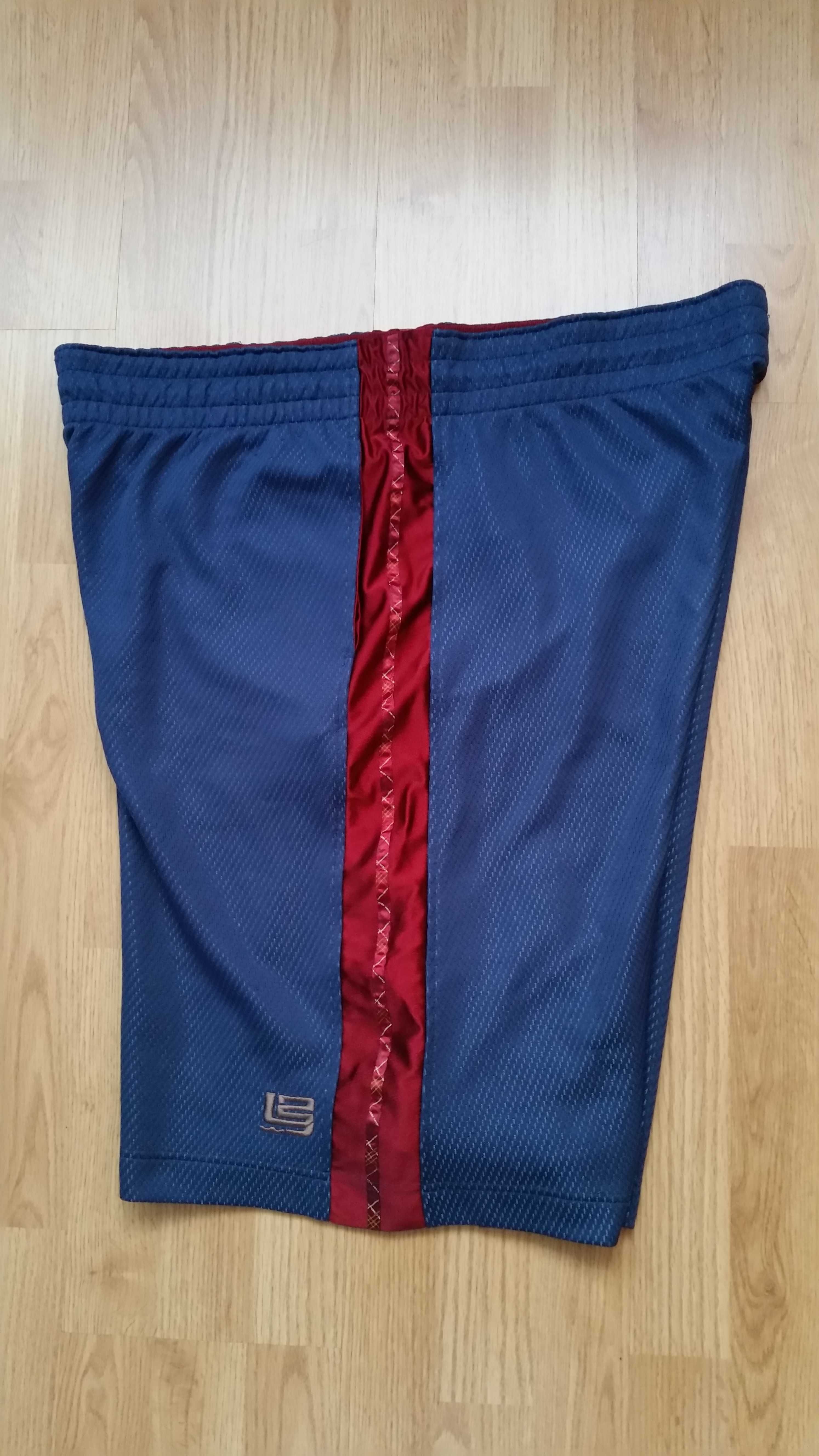 Spodenki Nike Lebron James 23