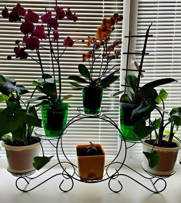 Підставка для квітів на 6 чаш «Карета», подставка для цветов