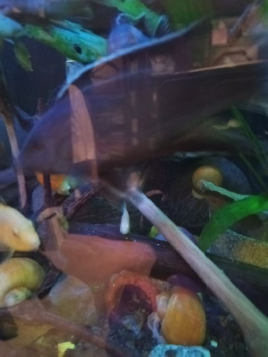 Акваріум ..б/ у в хорошому стані