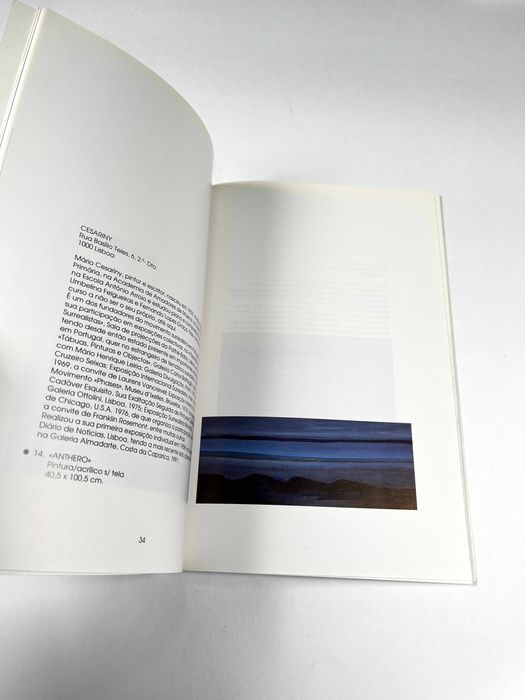 3ª Bienal de Arte dos Açores e Atlântico 1991 Horta Faial Catálogo