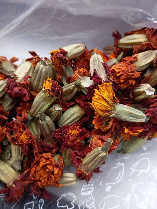 Відбірне насіння люфи