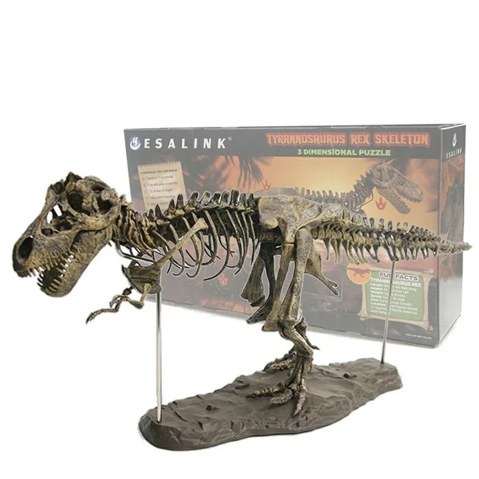 Esqueleto T-Rex Tiranossauro Fóssil