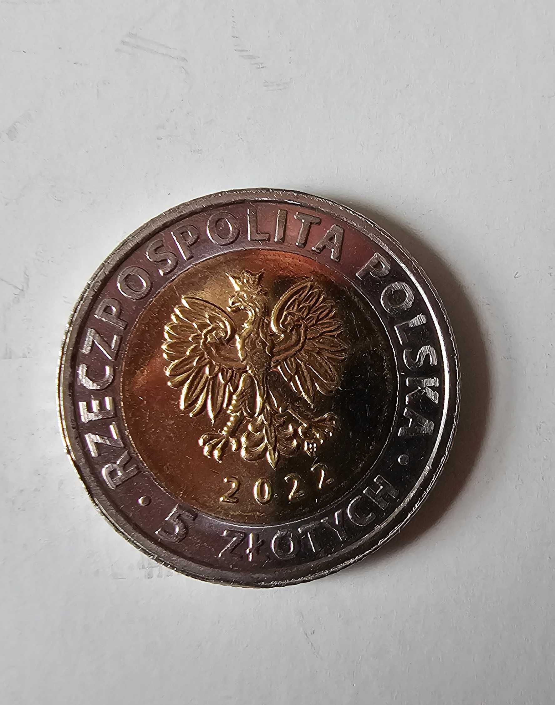 Monety okolicznościowe "Poznaj Polskę" - 5 zł