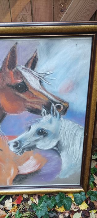 Obraz oryginał suchy pastel