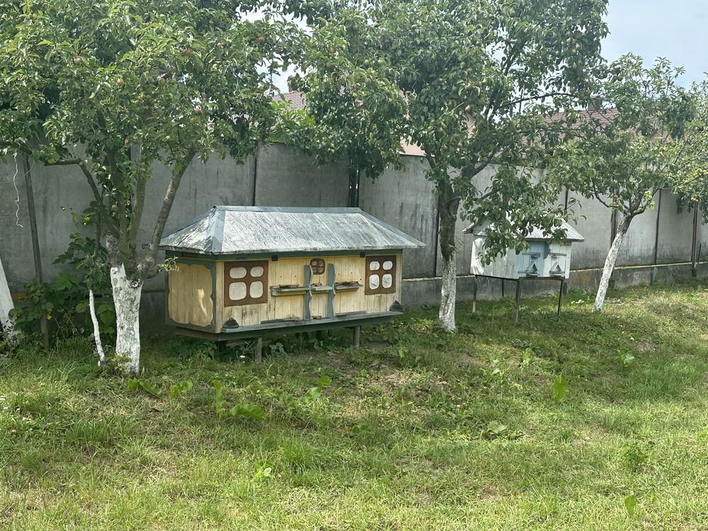 Продаються вулики з бджолами