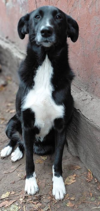 В добрі ручки гарна дівчинка.