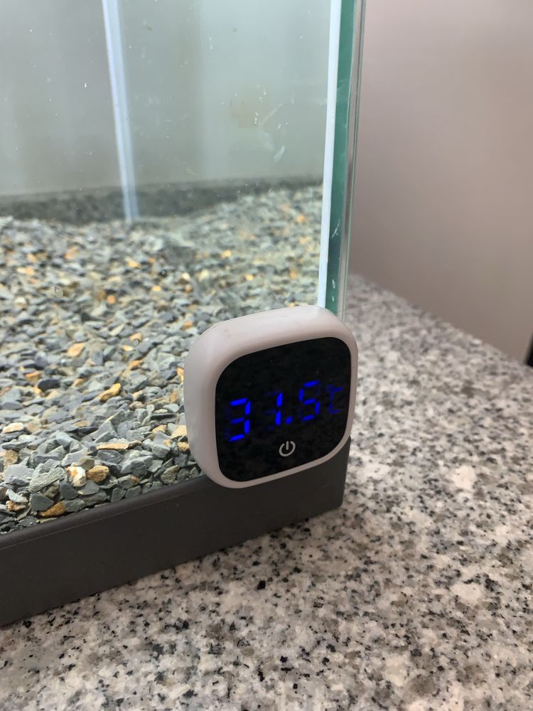 Aquário 48L + Acessórios + Comida