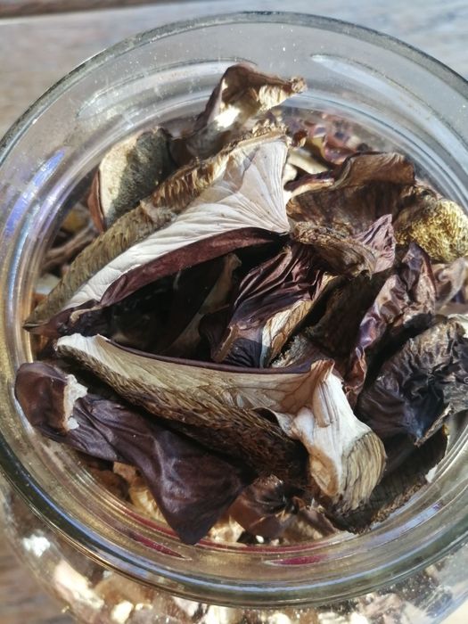 Grzyby suszone podgrzybki 100 gramów