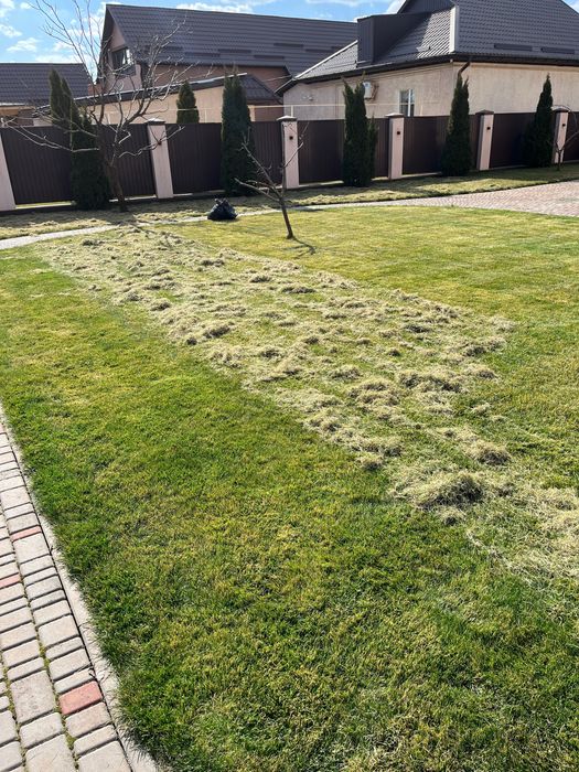 Садівник| Газон | Стрижка хвойних. Обрізка дерев