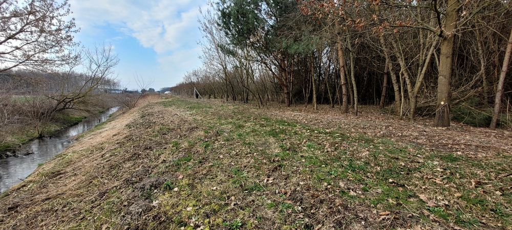 Działka budowlana Ożarów z dużym własnym lasem 1.85ha