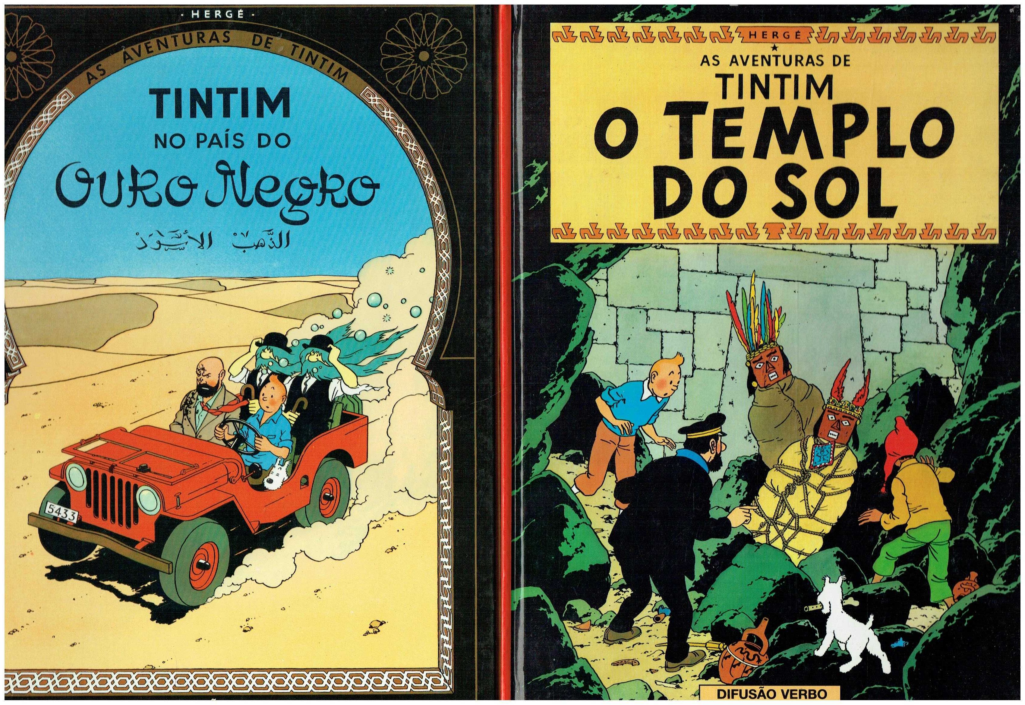 11860

Coleção As Aventuras de Tintim
de Hergé