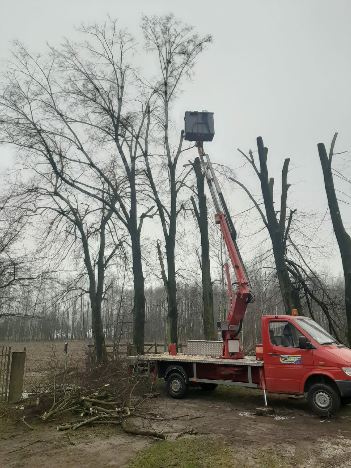 Wynajem.podnośnik koszowy.zwyżka usługi ALPINISTYCZNE wycinka drzew