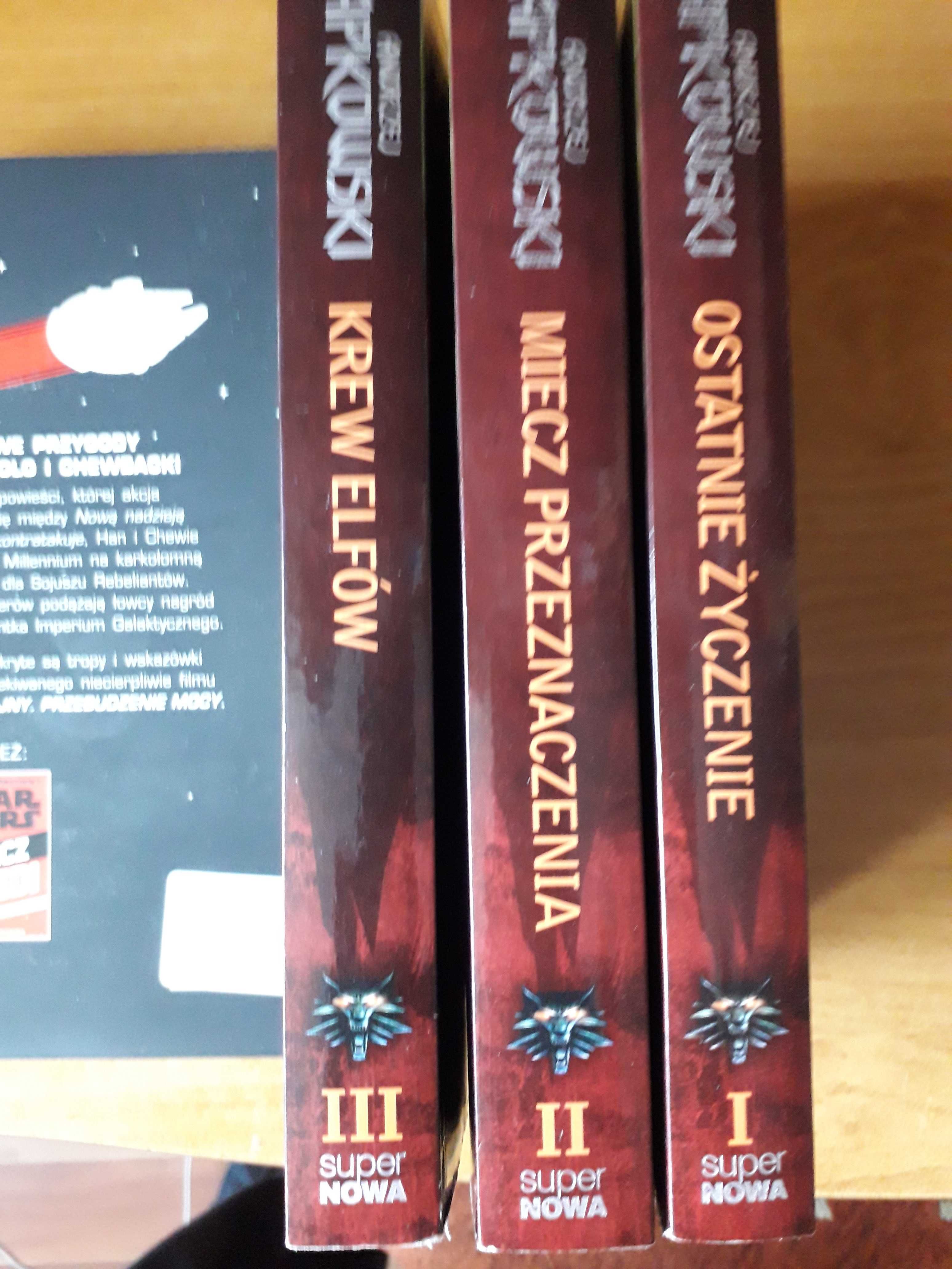 Wiedźmin  Ostanie życzenie Krew elfów Miecz przeznaczenia Sapkowski
