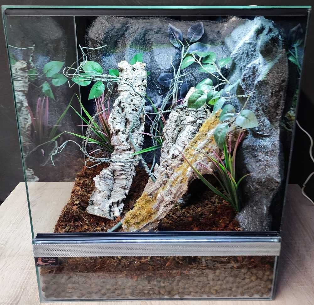 Terrarium szklane nr45 50/50/60 dla gekona drzewołazów żaby DOSTĘPNE