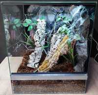 Terrarium szklane nr45 50/50/60 dla gekona drzewołazów żaby DOSTĘPNE