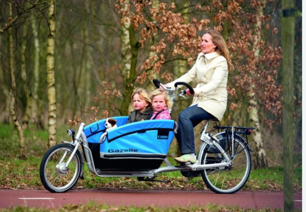 Gazelle Cabby rower z koszem transportowy cargo bakfiets