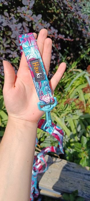 Szelki + smycz Hauki wzór grzybki