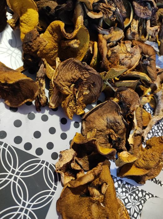 Sprzedam mix suszonych podgrzybek, maślak zajączek