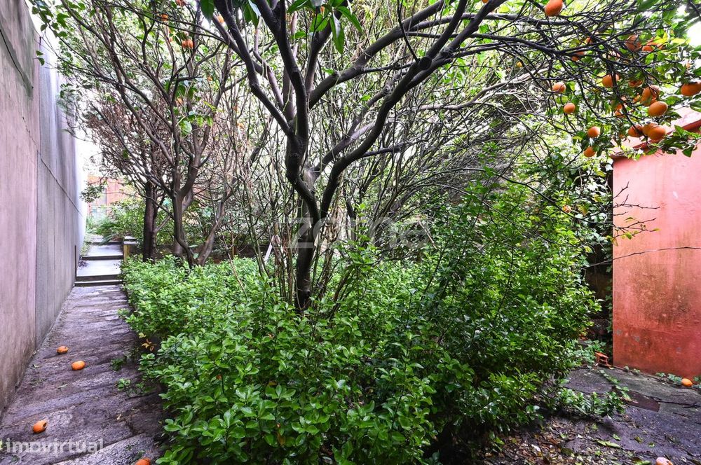 Moradia T2 com Jardim e Anexo para Remodelação Total | Bonfim, Porto