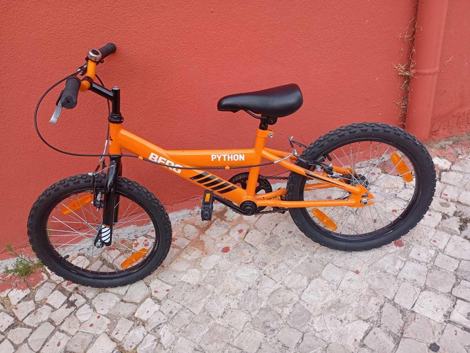 Bicicleta infantil Berg Python